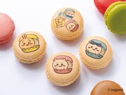 ちいかわ×ダロワイヨ、マカロンに挟まれたちいかわたちをデザインしたコラボ商品