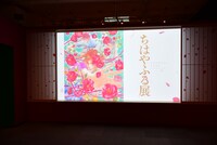 「ちはやふる展」より。