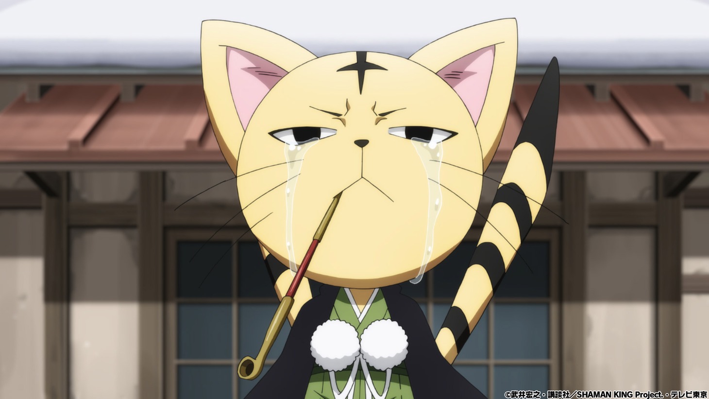TVアニメ「SHAMAN KING」より。