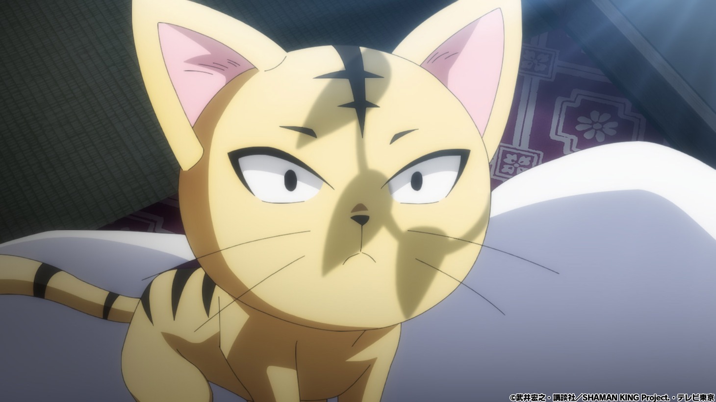 TVアニメ「SHAMAN KING」より。