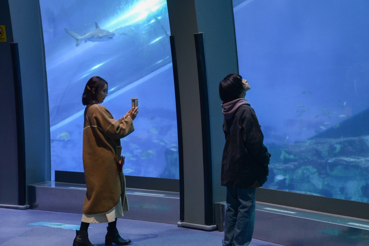 ドラマ「シジュウカラ」場面写真 (c)「シジュウカラ」製作委員会