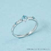 「【新テニスの王子様】跡部景吾 跡部王国（キングダム）建国記念リング」