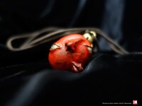 「ベヘリット2020」の「覇王OpenEyes」。