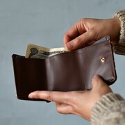 ミニウォレットの使用イメージ。