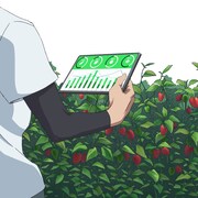 作中で行われている「スマート農業」の様子。 (c)2022 KYOCERA Corporation