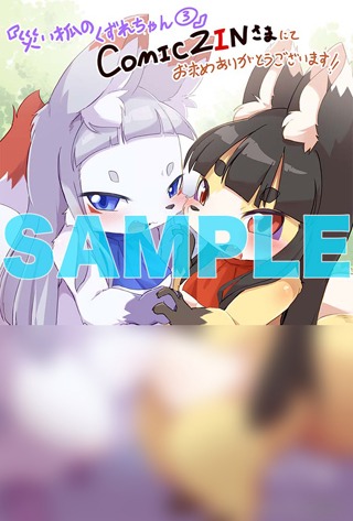 COMIC ZIN特典