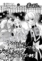 「裏切られたので、王妃付き侍女にジョブチェンジ！」1巻メロンブックス＆フロマージュ購入特典。