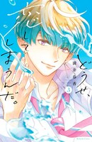 「どうせ、恋してしまうんだ。」3巻（KCデラックス/講談社）