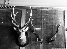 実写映画「ノイズ」撮影現場の様子。（写真：永瀬正敏）