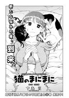 宇島葉「猫のまにまに」
