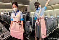 限定デザインのCAエプロン。