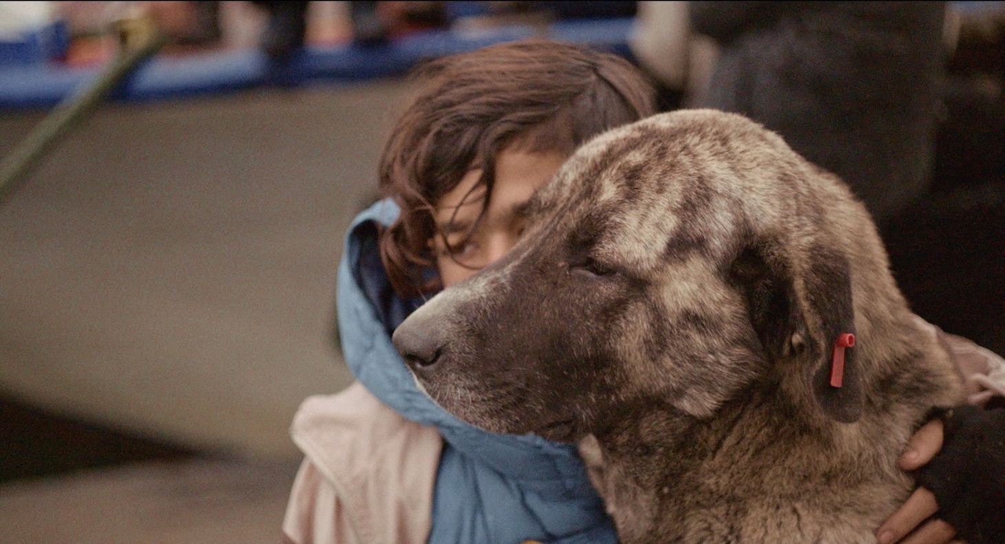 映画「ストレイ 犬が見た世界」より。