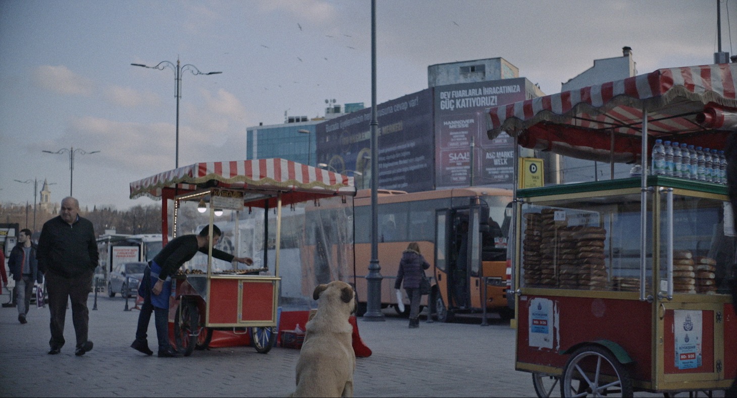 映画「ストレイ 犬が見た世界」より。