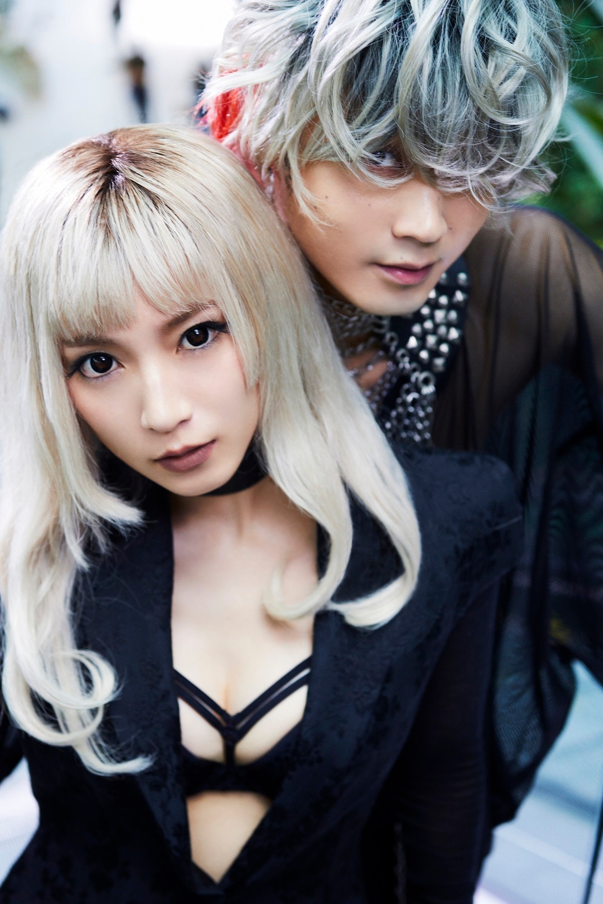 女郎蜘蛛とアカグモの撮り下ろしビジュアル。