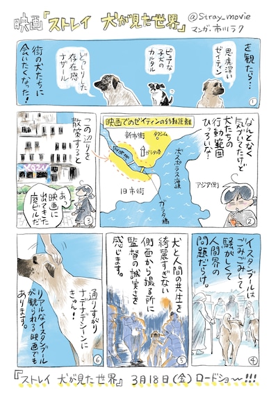 「『ストレイ』イスタンブール通信」第1話