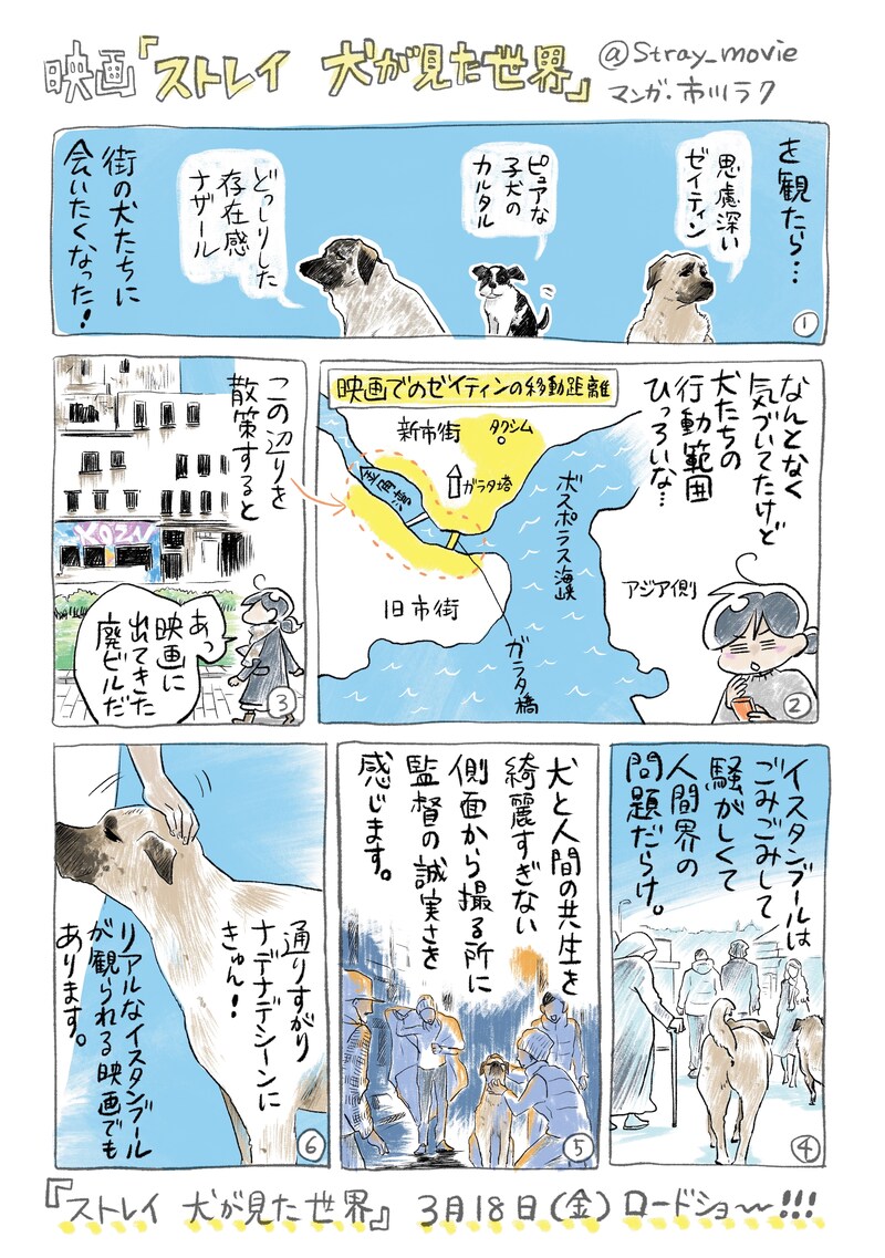 「『ストレイ』イスタンブール通信」第1話