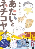 「あたいとネチコヤン ゲイが猫を飼ったら終わりよ!!!!」（帯付き）