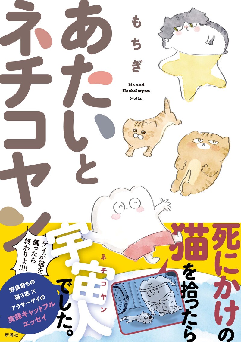 「あたいとネチコヤン ゲイが猫を飼ったら終わりよ!!!!」（帯付き）