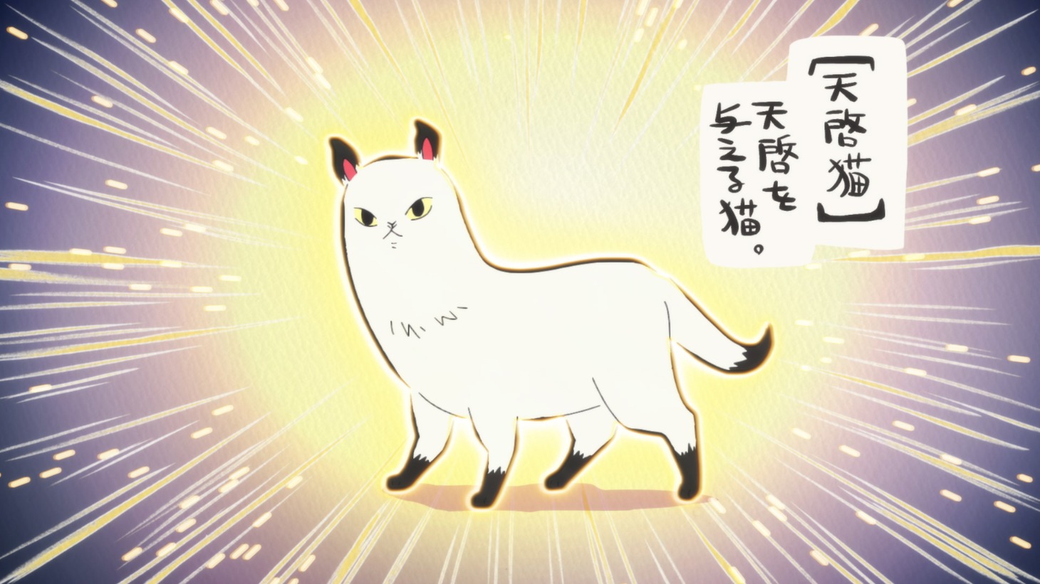 アニメ「あたしゃ川尻こだまだよ～デンジャラスライフハッカーのただれた生活～」より。 (c)川尻こだま/KADOKAWA・ただれた生活委員会