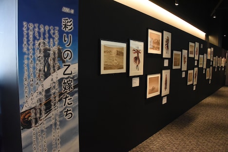 「大乙嫁語り展」の様子。