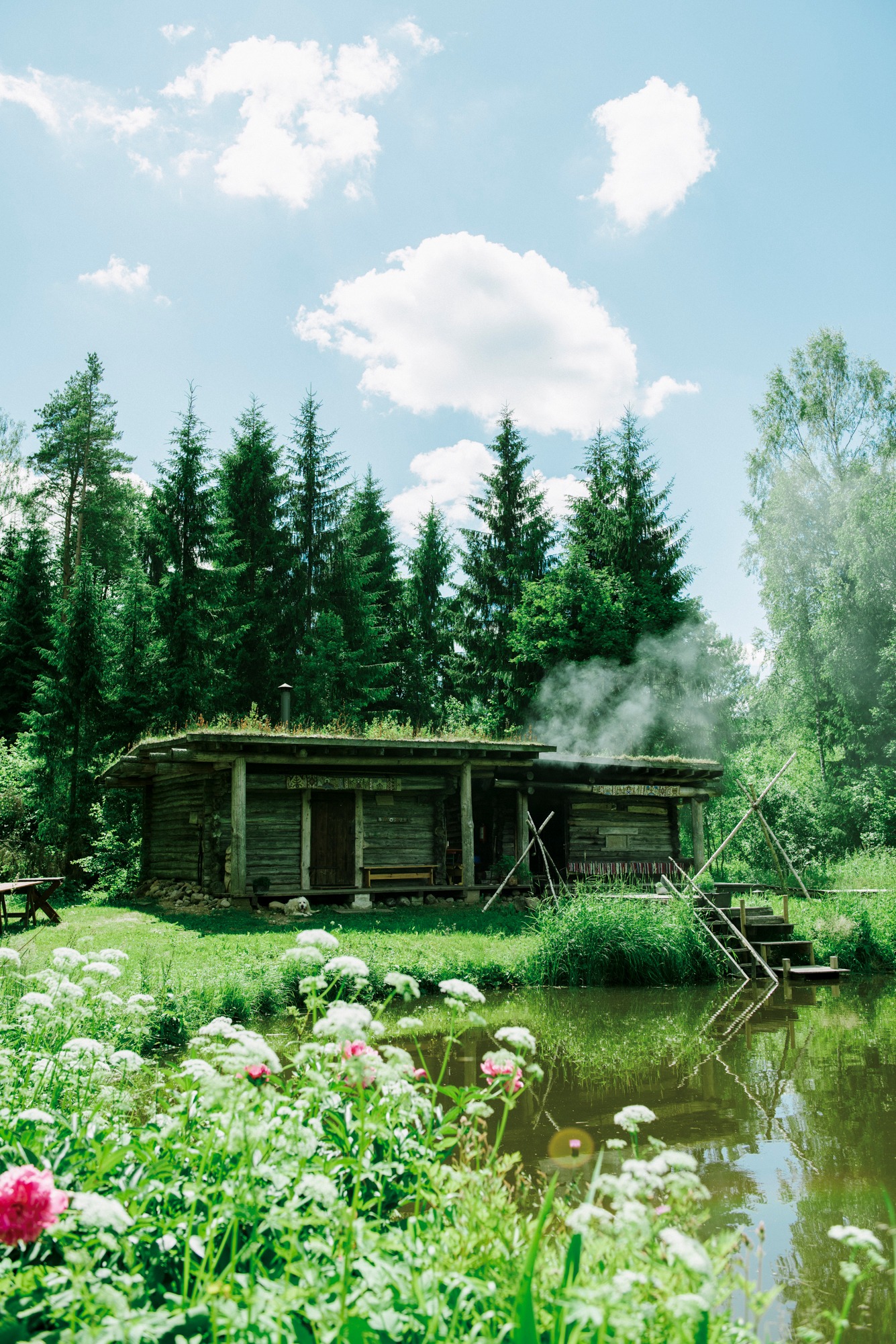 「サ展」に展示される“サ真（写真）”。