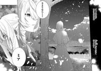 「完璧すぎて可愛げがないと婚約破棄された聖女は隣国に売られる」より。