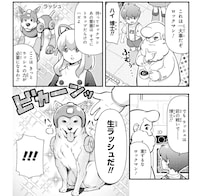 「ロックマンちゃん」より。