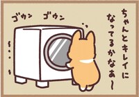 「まるまるコーギー」4コママンガより。