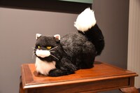 「ディズニー ツイステッドワンダーランド展｜ヴィランズから生まれた世界」より、ルチウス。