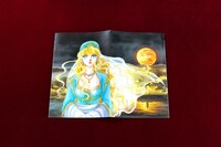 「夢の雫、黄金（きん）の鳥籠」のマスクケース。