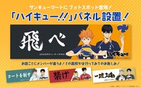 「ハイキュー!!」パネル