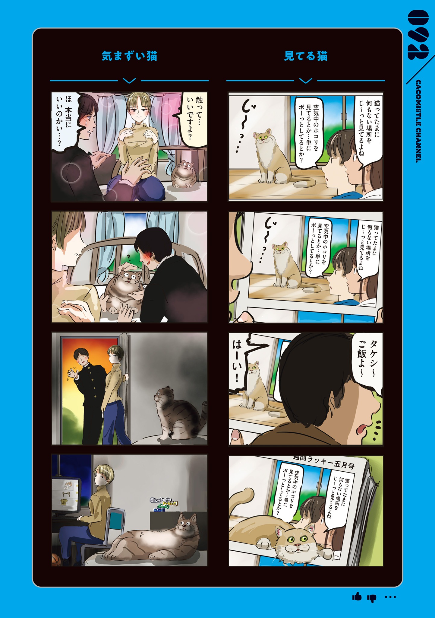 「カコミスルちゃんねる」より。