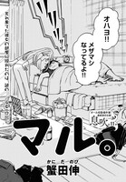 「マル。」より。