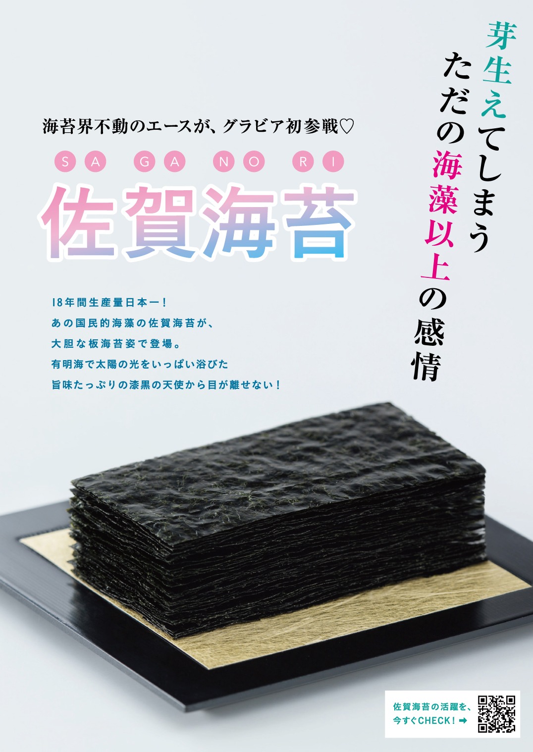 藻刊サガノリより。