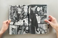 藻刊サガノリの実物。