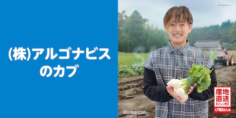 株式会社アルゴナビスのカブ。