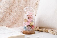 フラワードーム