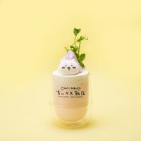 「温泉風ホット杏仁ミルク マシュマロ付」