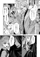 「影の英雄の治癒係」より