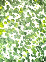 「みちまほ展」展示作品のサンプル。