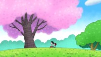 「まる子と山桜」より。