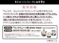「ちいかわ なんか小さくてかわいいやつ」購入特典