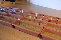 PLAY! PARKで展開される関連企画。