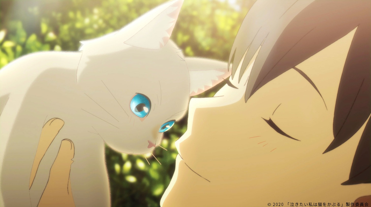 「泣きたい私は猫をかぶる」より。