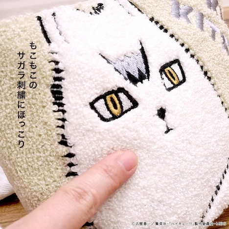 「キタキツネ」