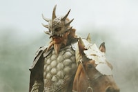 映画「キングダム2 遥かなる大地へ」場面写真