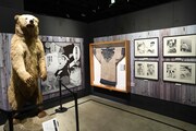 「ゴールデンカムイ展」第1ゾーン「金塊争奪戦の開幕」より。