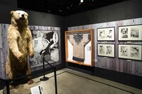 「ゴールデンカムイ展」第1ゾーン「金塊争奪戦の開幕」より。