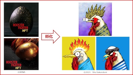 「ニワトリ・ファイター」NFTプロジェクトのイメージ。