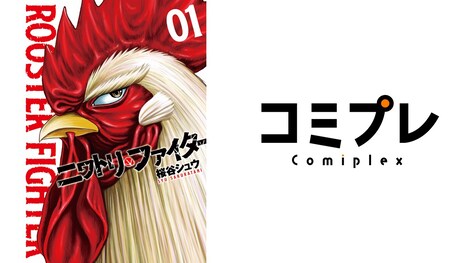 「ニワトリ・ファイター」NFTプロジェクトのイメージ。